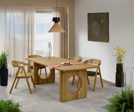 Jídelní stůl dub 220 x 95 cm a 4 dubová křesla