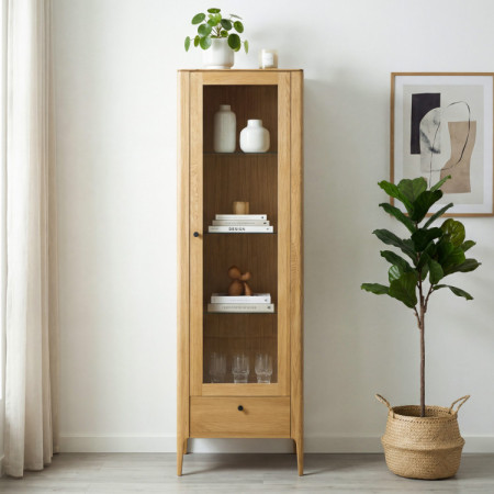 Jednodverová vitrína z masívu