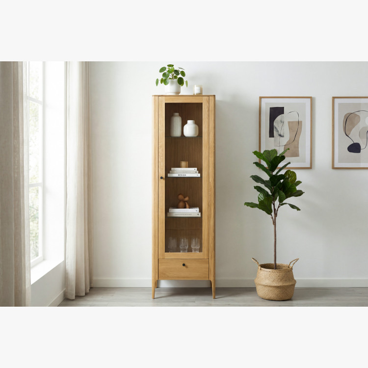 Jednodverová vitrína z masívu