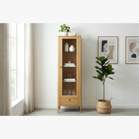 Jednodverová vitrína z masívu