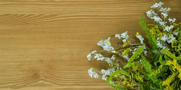 Typické vlastnosti a charakter borovicového dreva